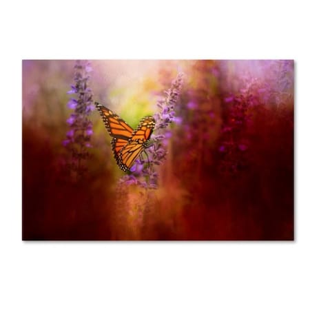 Jai Johnson 'Autumn Monarch' Canvas Art,16x24